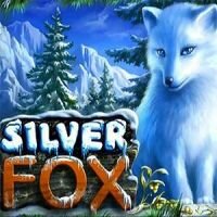Логотип Silver Fox